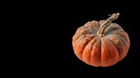 Autumn orange pumpkin isolated on transparent background, ready for t-shirt designs, clipart, stickers, print-on-demand products, and sublimation projects.