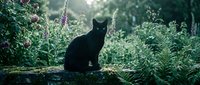 Black cat sitting on log surrounded by purple flowers and green foliage in forest setting, suitable for nature and wildlife projects.
