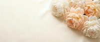 Soft peach and cream ranunculus flowers arranged on neutral beige background with copy space for wedding invitations, greeting cards and romantic designs.