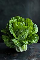 Fresh green bok choy with crisp leaves against dark background, highlighting vibrant color and texture for food photography and healthy eating concepts.