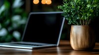 Laptop with blank screen on wooden desk next to potted plant with green leaves against blurred background with bokeh lights, workspace atmosphere.