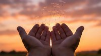 Open cupped hands releasing flock of birds into golden sunset sky symbolizing freedom, hope, spirituality and letting go for meditation concepts.