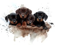 Four adorable dachshund puppies in watercolor style sitting together in wooden basket, black and brown colors with artistic paint splatter effect.
