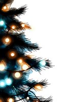 Glowing Christmas tree lights in orange and turquoise colors create magical bokeh effect against dark pine branches on white background, suitable for holiday designs.