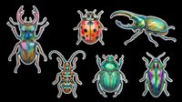 Colorful insects collection featuring isolated beetles and bugs on transparent background, ready for clipart, t-shirt design, stickers, print-on-demand products and sublimation projects.