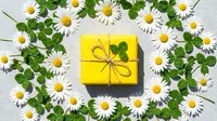 Yellow gift box with clover leaf surrounded by white daisies and green leaves on white background. Spring celebration concept for greeting cards and packaging.