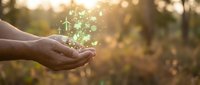 Hands cupping glowing magical light particles in nature at sunset creating enchanting fantasy atmosphere for spiritual and wellness concepts.