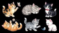 Cute kittens and cats in various playful poses isolated on transparent background. Ready for t-shirt designs, stickers, clipart, sublimation, print-on-demand products and digital crafts.