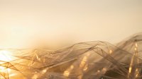 Abstract golden flowing fabric with warm sunlight creating ethereal waves and soft shadows on neutral background for luxury design projects.