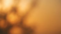 Warm golden bokeh background with soft blurred lights, suitable for overlays, presentations, and design projects requiring elegant ambient atmosphere.