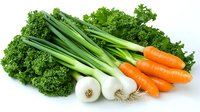 Fresh organic vegetables including curly kale leaves, white spring onions with roots, and bright orange carrots arranged on white background, isolated for design use.