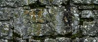 Ancient weathered stone wall with moss and lichen growth showing natural aging and texture for rustic architectural backgrounds.