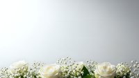 White roses and baby's breath floral border arrangement on neutral background for wedding invitations, greeting cards and romantic designs.