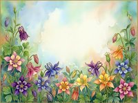 Watercolor floral border with colorful aquilegia blooms on soft pastel background, copy space for text, greeting card or invitation design.