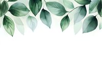 Watercolor green leaves border on white background, botanical seamless pattern for wedding invitations, packaging design and wall art decoration.