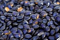 Shiny dark blue glass pebbles with golden reflections create abstract pattern background. Decorative stones with glossy surface catch light in macro view.
