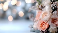 Delicate peach and cream roses bouquet with baby's breath against soft bokeh background, romantic wedding floral arrangement in pastel tones.