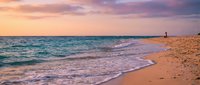 Serene coastal landscape at sunset with gentle waves rolling onto sandy shore, soft pink and purple sky reflecting on calm ocean waters.