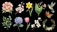 Watercolor spring botanical clipart set with peony, daffodil, tulip, hydrangea, hummingbird, butterfly, and floral wreath, isolated on transparent background, ready for T-shirts and print on demand.