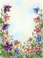 Watercolor columbine flowers border frame in purple, pink, blue and yellow on soft pastel background with copy space for greeting cards.