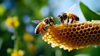 Honey bees working on fresh honeycomb against blurred green garden background, macro view shows detailed wing patterns and golden honey cells structure.
