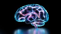 Glowing brain visualization with neon blue and pink light trails against black background shows neural network connections and brain activity patterns.