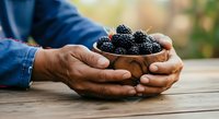 Farmer's hands holding fresh ripe blackberries in palms outdoors, harvest season produce for agriculture, farming, food and organic market use.
