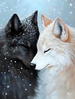 Black and white wolves nuzzling in falling snow, romantic wildlife illustration showing tender moment between two wolves against winter background.