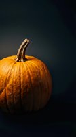 Fresh orange pumpkin with natural stem on dark background for autumn harvest, Halloween decoration, and seasonal cooking projects.