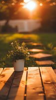 Small potted plant on wooden deck during golden sunset hour, with garden stepping stones and white fence in blurred background, creating warm atmospheric scene.