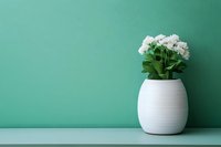 White geranium flowers in modern ceramic vase against mint green wall, creating minimalist home decor accent with clean lines and fresh aesthetic.