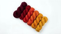 Colorful yarn skeins arranged in warm autumn gradient from burgundy to golden yellow on white background for crafting and knitting projects.