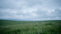 Vast green agricultural field under cloudy sky with rolling hills in distance. Rural farming landscape for environmental and agriculture concepts.