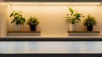 Modern kitchen shelf with potted plants under warm LED strip lighting creating cozy indoor garden atmosphere for contemporary home interior design.