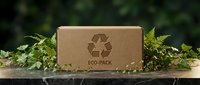 Sustainable cardboard packaging box with recycling symbol surrounded by green plants and ferns on wooden surface, eco-friendly shipping solution.