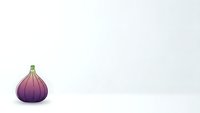 Purple onion bulb isolated on white background for cooking ingredients and healthy food design projects.