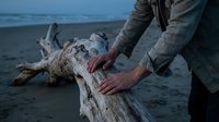 Person in casual clothing touching weathered driftwood log on sandy beach during twilight hour with ocean waves in background creating peaceful coastal scene.