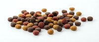 Dry pet food kibble scattered on white background, isolated. Mixed brown, red, and yellow pellets for dogs or cats nutrition.