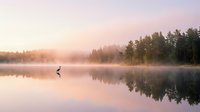 Silhouette of person jogging along misty lakeside at sunrise with forested shoreline reflected in calm water, suitable for fitness and wellness marketing.