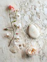 Delicate floral arrangement with white and pink roses, pebbles, and seashells on textured plaster background for spa or wellness design.