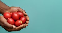 Hands holding fresh red tomatoes against turquoise background, suitable for food, agriculture, organic produce, and healthy eating marketing materials.