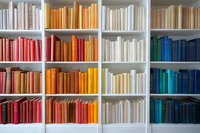 Books arranged by color on white wooden shelves creating rainbow spectrum from red through orange, white to blue, modern library organization concept.