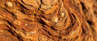 Close-up of weathered sandstone rock formation with natural erosion patterns and layered sedimentary textures in warm earth tones for geology backgrounds.