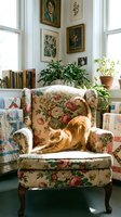 Ginger cat stretching on floral wingback chair in vintage-inspired living room with botanical artwork, potted plants, and classic books for home decor and interior design.