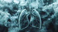 Anatomical lungs with branching bronchial tree displayed in translucent teal tones against smoky background, suitable for medical education, healthcare presentations, and respiratory system illustrations.