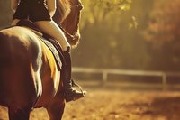 Equestrian rider on horseback in golden sunlight at ranch arena, ready for training or competition sport activity.