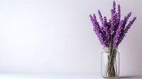 Purple lavender flowers in clear glass mason jar against white background, minimalist composition with copy space for text, natural light from left side.