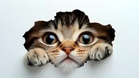 Curious tabby cat peeking through torn paper hole, showing face and paws. Perfect for pet-related content, animal behavior concepts, or playful design elements.