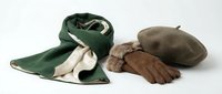 Stylish autumn winter accessories set with green silk scarf, brown leather gloves and wool beret hat isolated on white background for fashion design.