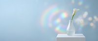 White calla lily in minimalist vase on pedestal against soft blue background with rainbow light reflections creating dreamy atmospheric mood for spa wellness.